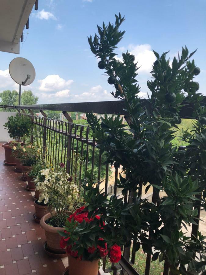 Venice H.s.garden Affittacamere Marghera